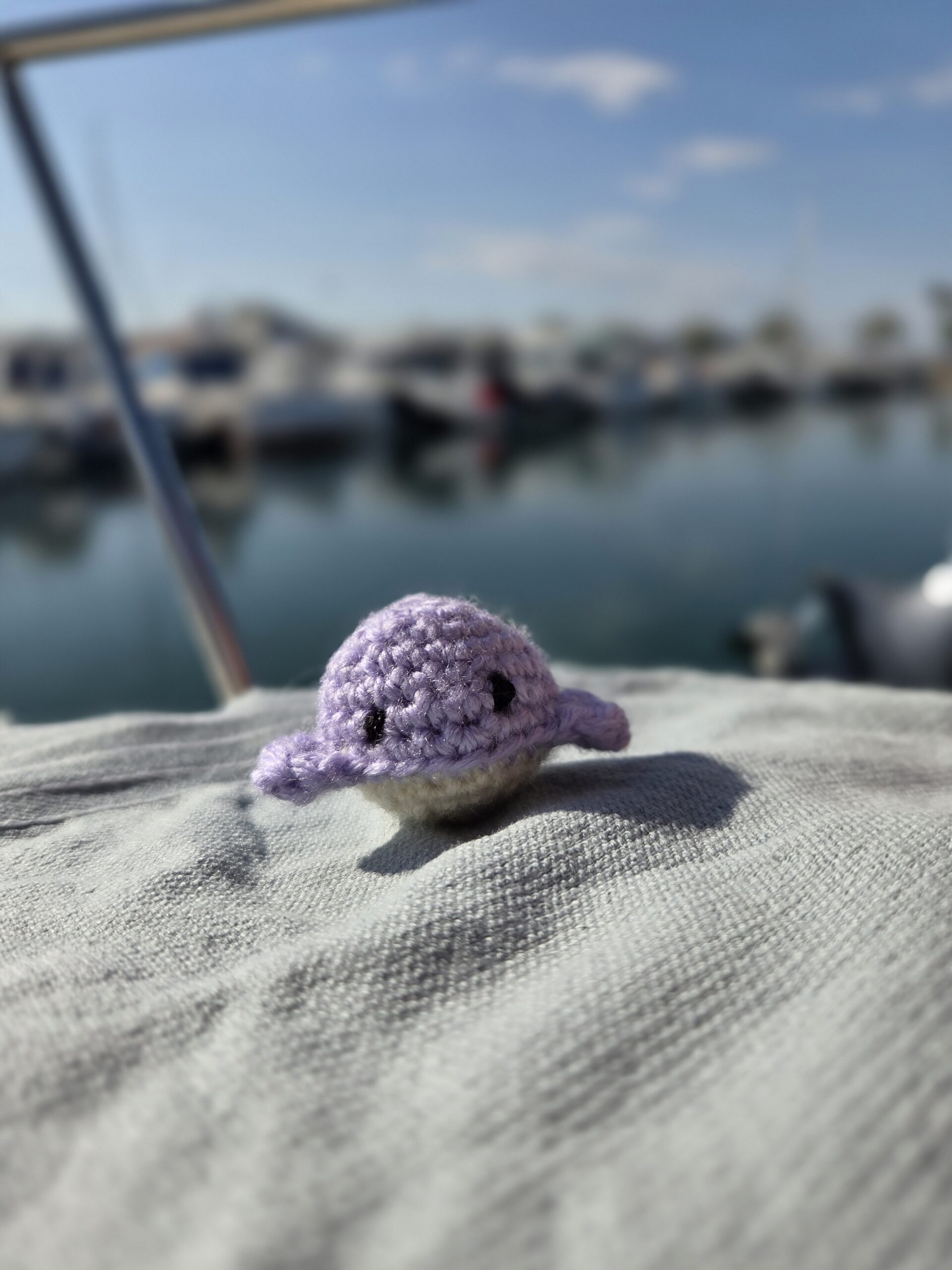 Baleine à l’herbe à chat – Image 2