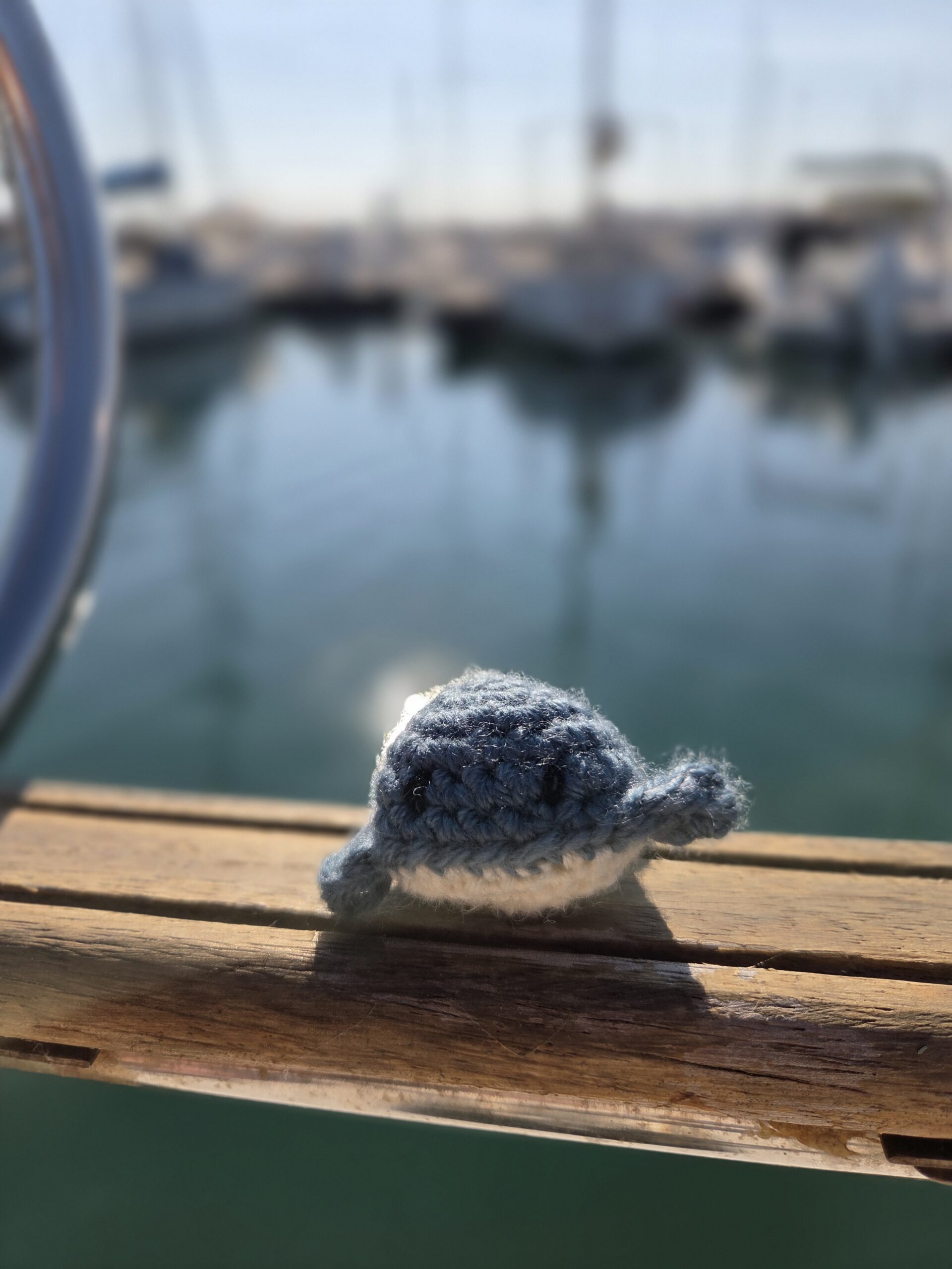 Baleine à l’herbe à chat – Image 3