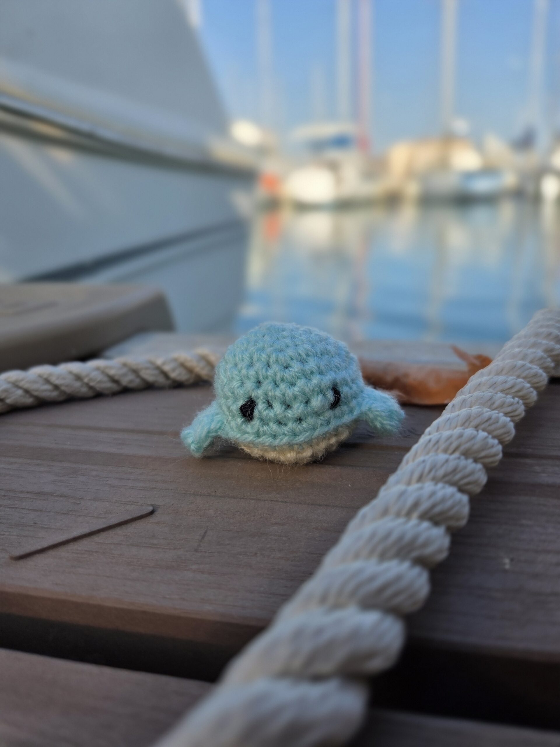 Baleine à l’herbe à chat – Image 4