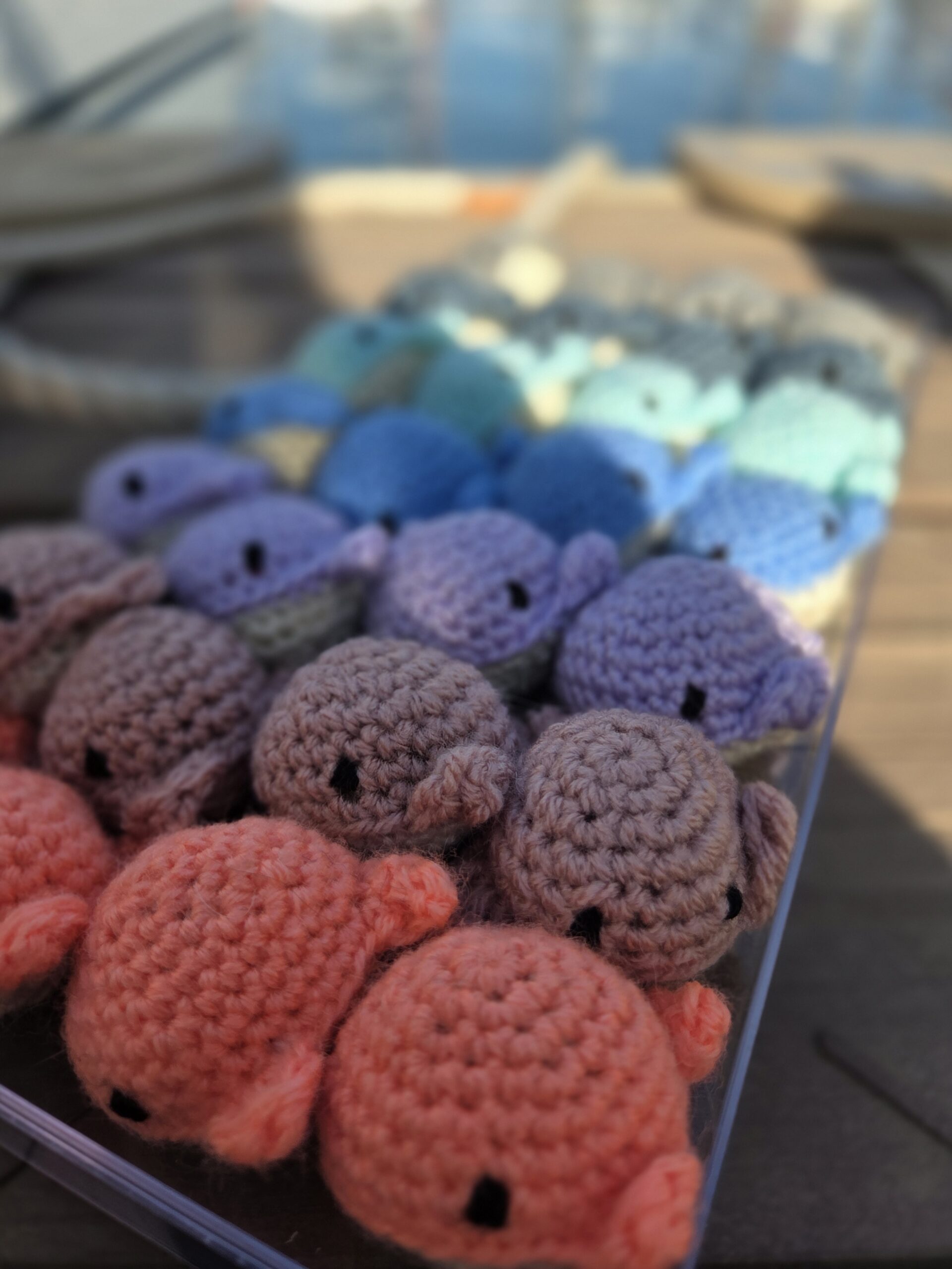 Baleine à l’herbe à chat