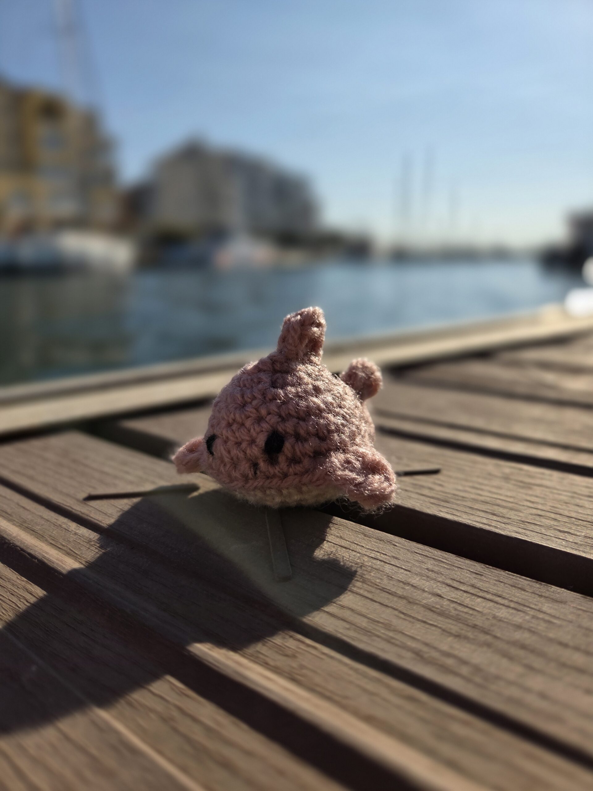 Requin au papier bruissant