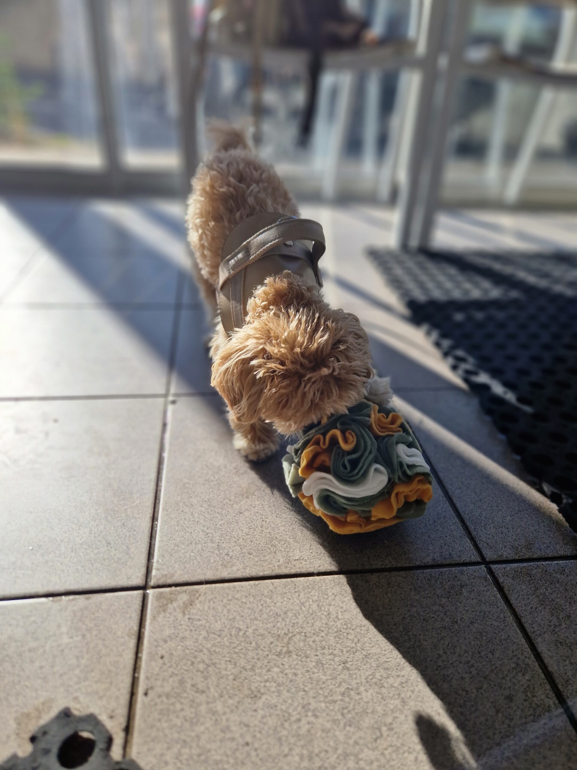 Mini Balle de fouille – Image 3