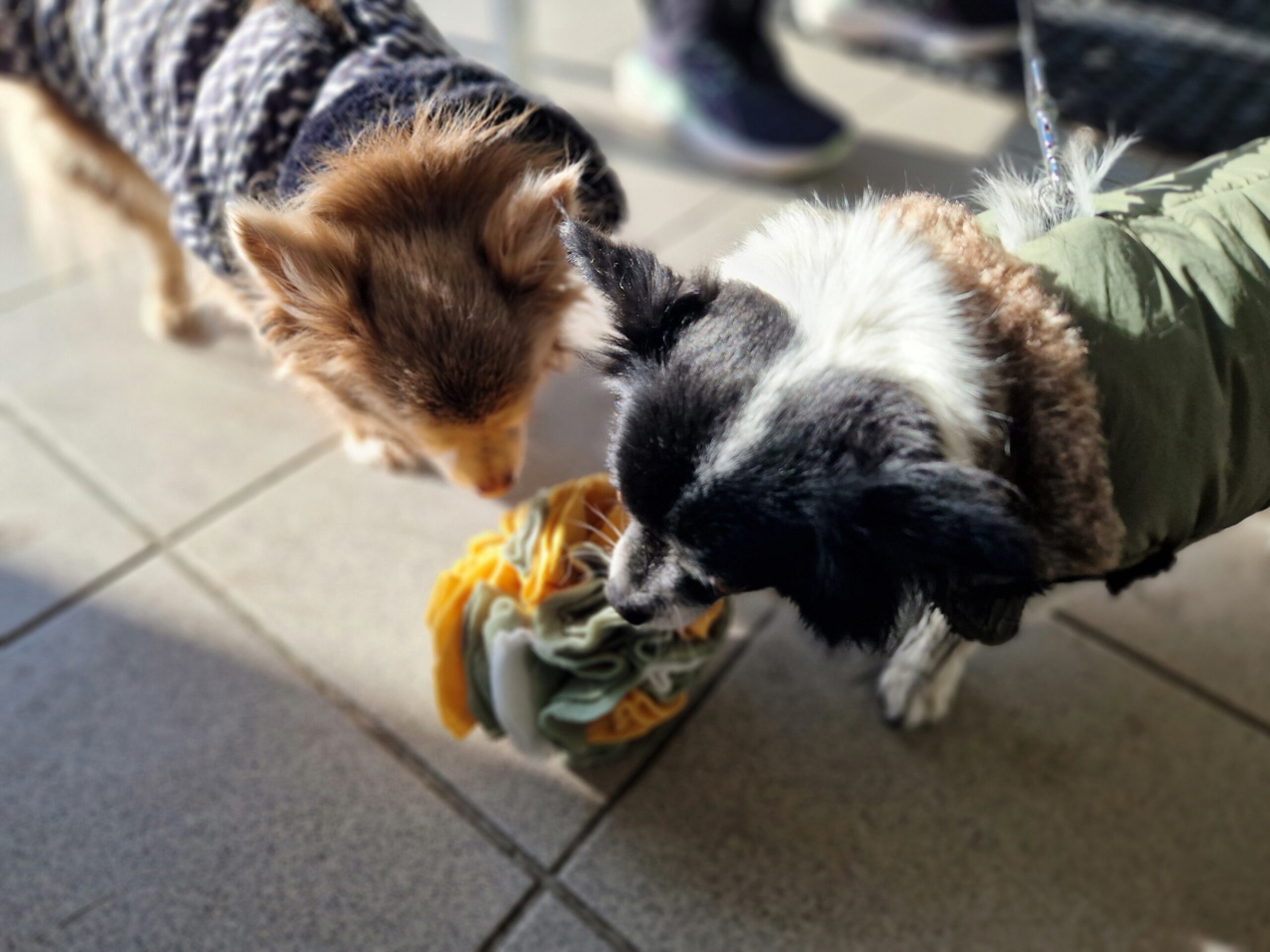 Mini Balle de fouille – Image 4