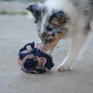 608042865_1882830272357374_5382990433843579232_n (1)