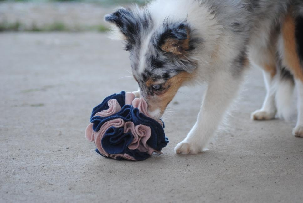 Mini Balle de fouille – Image 2