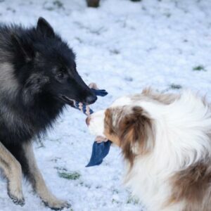 608064159_1427070695409720_1629754725394771360_n